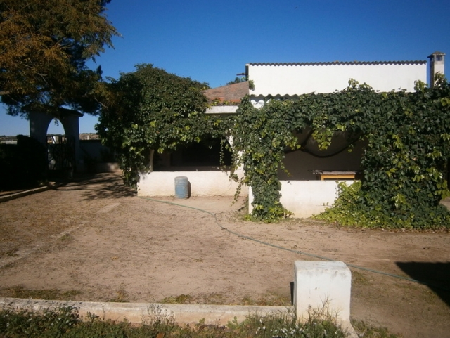 Celebraciones en la finca
